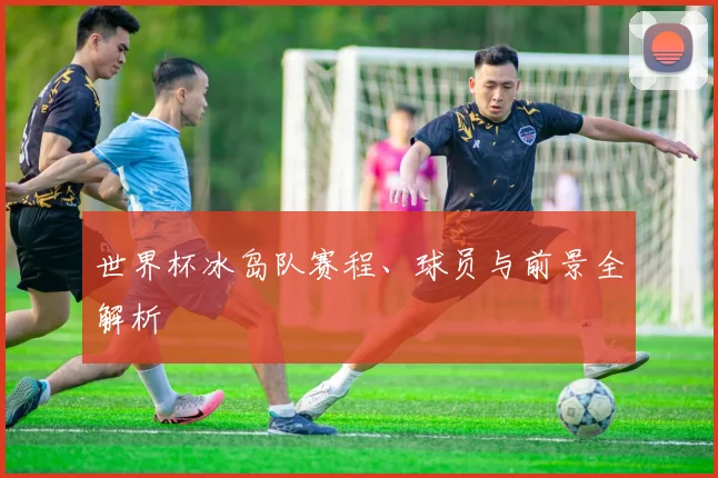 世界杯冰岛队赛程、球员与前景全解析