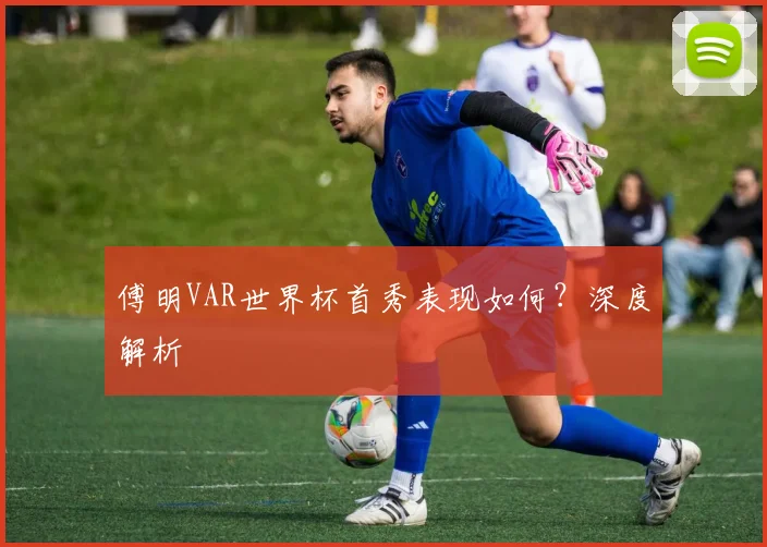 傅明VAR世界杯首秀表现如何?深度解析
